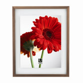Document Frame
