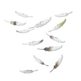 Quill Wall D&eacute;cor (Set of 9)