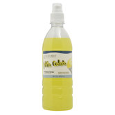 Pina Colada Premium Syrup