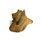 Animals Deep Sea Shell Statue