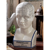 Porcelain Phrenology Head Statue