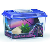 Hermit Crab Hideaway Kit