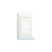1 Port AnyPort Wall Plate