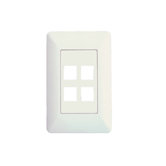 4 Port AnyPort Wall Plate