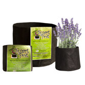 Round Plant Container