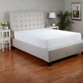 Expression 10" Memory Foam Mattress