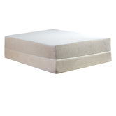 Rapture 12" Memory Foam Mattress