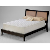 13" Florence Latex Foam Mattress