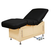 Clinician Premiere Electric Salon Modern Molding
