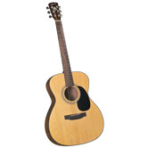 Guitars