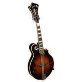 Kentucky Artist F-Model Mandolin with Rosewood Bridge