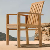 Apex Dining Arm Chair