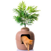 Hidden Litter Box