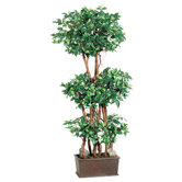 48" Mini Ficus Wall Tree with Wooden Container in Green