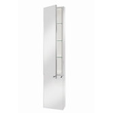 Nile Tall Mirrored Medicine Cabinet
