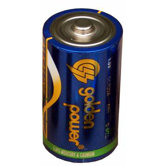 D Alkaline Batteries