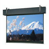 Matte White Professional Electrol - AV Format 16'6" x 22' diagonal