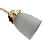 Frosted Side Glass Shade