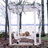 Fanback Porch Swing