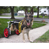 Dog Wheelchair