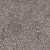 Allora 18" x 18" Unpolished Porcelain Tile in Argento