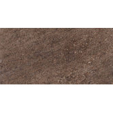 Allora 18" x 36" Unpolished Porcelain Tile in Marrone