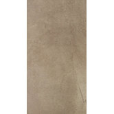 Napa 12" x 24" Floor Tile in Noce