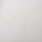 Paladino 12" x 12" Floor Tile in Albanella