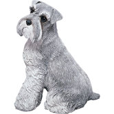Original Size Schnauzer Sculpture in Gray