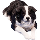 Original Size Border Collie Sculpture in Black / White