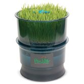 Indoor Gardening