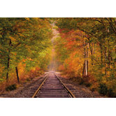 Komar Summer in Fall Wall Mural