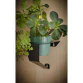 Air Round Pot Hangers (Set of 6)