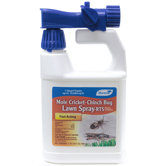 Mole Cricket Cinch Bug Lawn Spray