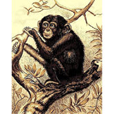 African Adventure Chimpanzee Novelty Rug