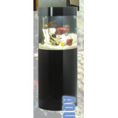 AquaCustom 22 Gallon Semi Circular Aquarium