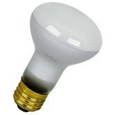 Track Reflector Flood Light Bulb (Set of 2)