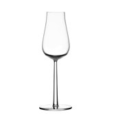 Essence Plus Champagne Glass (Set of 2)