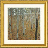 Birch Forest Gold Framed Print - Gustav Klimt