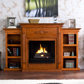 Franklin Gel Fireplace