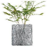 Nuvem 9" Vase Cover by Fratelli Campana
