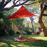 9'10" Triangle Party Sail