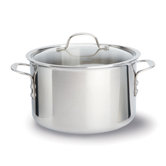 Tri-Ply Stainless Steel 8-qt. Stock Pot with Lid