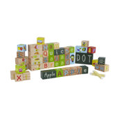 PBS Exploration Blocks - Letters