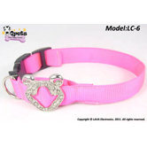 LED Safety Collar