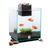 Fluval Chi Aquarium Kit