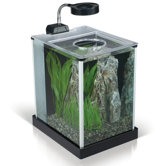 Fluval Spec 2 Gallon Aquarium