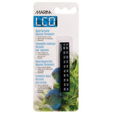 Marina Diameterolphin Thermometer