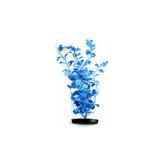 Marina Pearlscaper Cardamine Plant in Blue