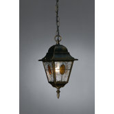 Munchen One Light Outdoor Hanging Lantern in Black and Gold